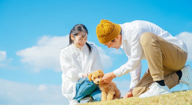 【男女比較】異性にぐっとくるポイントTOP5ランキング✨ 【男女比較】異性にぐっとくるポイントTOP5ランキング✨