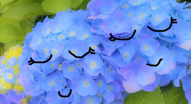 梅雨時期のお見合いの服装は?注意点も解説!☔👔👗 梅雨時期のお見合いの服装は?注意点も解説!☔👔👗