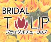 インストラクター:若林